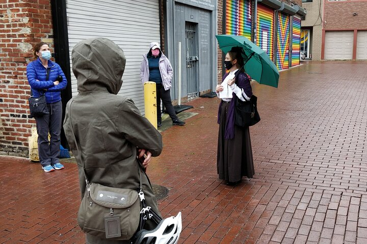Historic Alleyways Guided Walking Tour of Washington DC - Photo 1 of 7